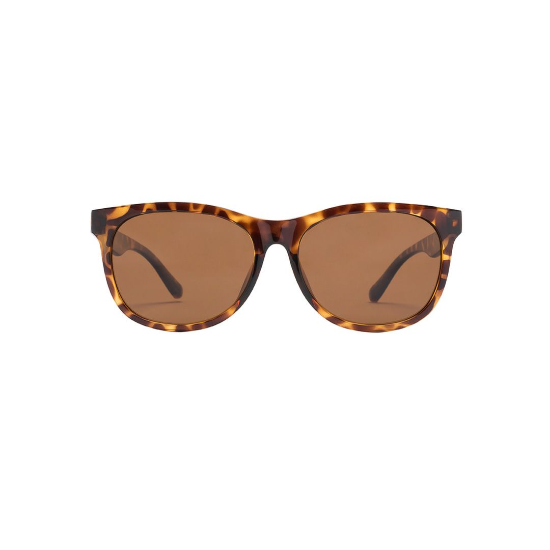マーズクエスト MARSQUEST メンズ レディース ユニセックス Momentum HAVANA×UMBER CPMZ52XF 詳細2