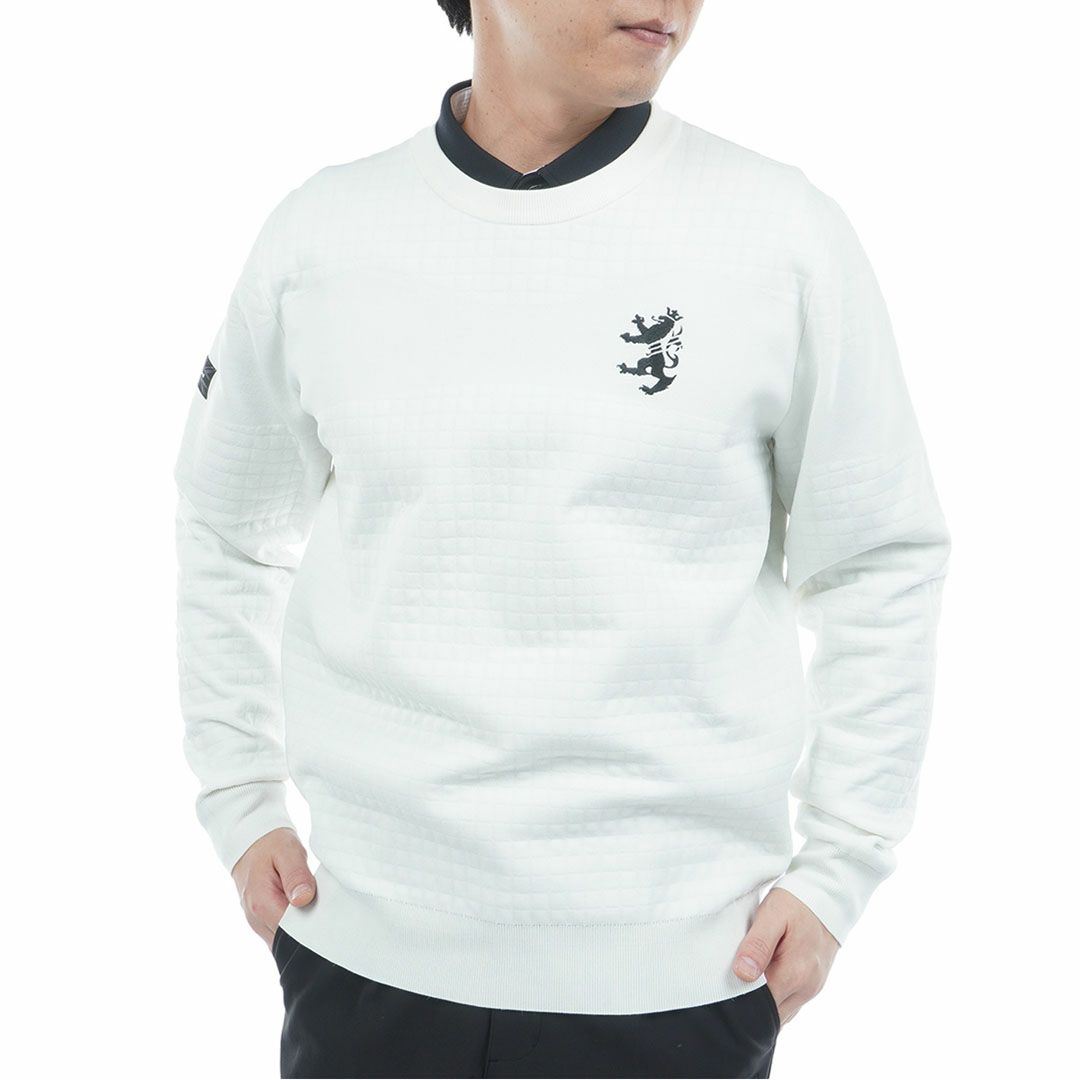 アドミラル ゴルフ Admiral GOLF メンズ メンズ リップジャガード クルーネックセーター ADMA553 詳細1