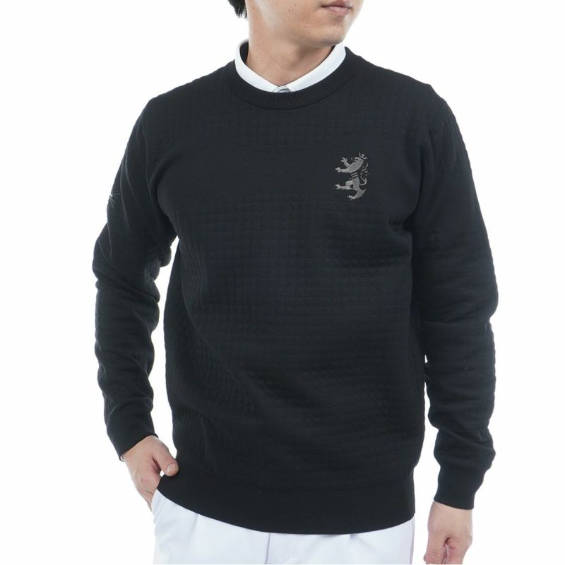アドミラル ゴルフ Admiral GOLF メンズ メンズ リップジャガード クルーネックセーター ADMA553 詳細10