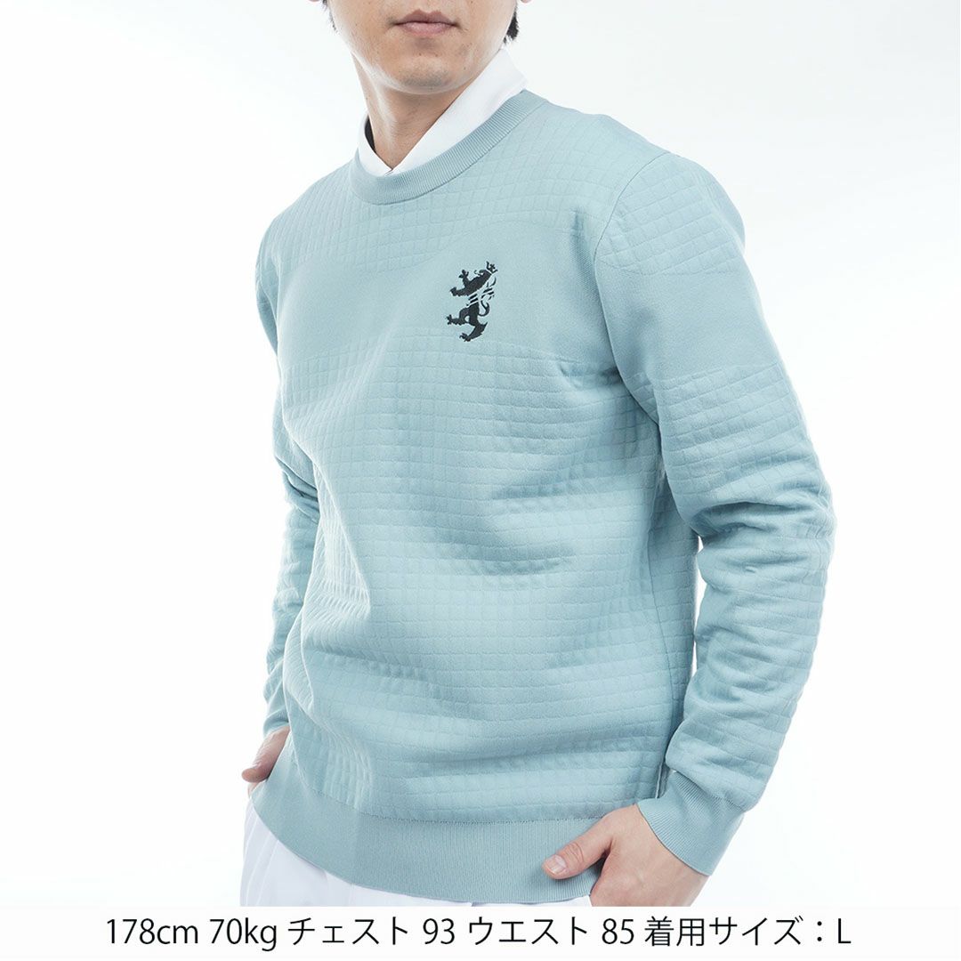 アドミラル ゴルフ Admiral GOLF メンズ メンズ リップジャガード クルーネックセーター ADMA553 詳細14